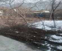 elanlari alqi satqisi elanlari Şəki ş.