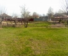 elanlari alqi satqisi elanlari Lənkəran ş.