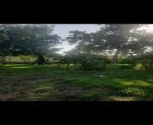 ismayillida torpaq alqi satqisi İsmayıllı ş.