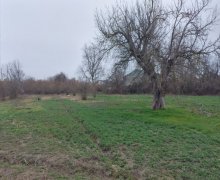 Satılır Bağ evi Xaçmaz ş.