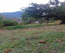 Satılır Torpaq Qəbələ ş.