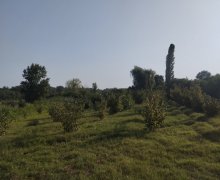 elanlari alqi satqisi elanlari Xaçmaz / Xudat ş.
