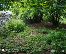 qebelede torpaq alqi satqisi Qəbələ ş.