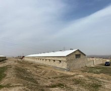 Kirayə (aylıq) Obyekt Müşviqabad qəs., Qaradağ r.