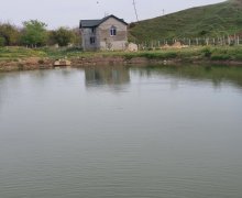 elanlari alqi satqisi elanlari Şamaxı ş.