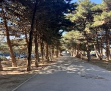 Satılır Yeni Tikili Həzi Aslanov m., H.Aslanov qəs., Xətai r.