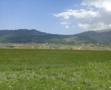 Satılır Torpaq Qusar ş.