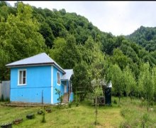 Kirayə (günlük) Həyət evi/villa Qəbələ ş.