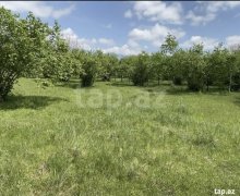 Satılır Torpaq Qəbələ ş.