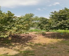 Satılır Torpaq Qəbələ ş.