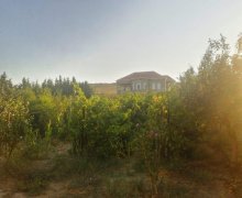 novxanida torpaq satilir Novxanı, Abşeron r.