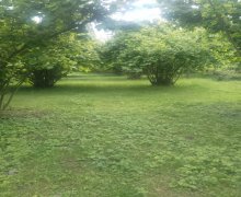 Satılır Torpaq Oğuz ş.