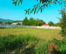 Satılır Torpaq Qəbələ ş.