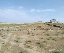 Satılır Torpaq Masazır, Abşeron r.