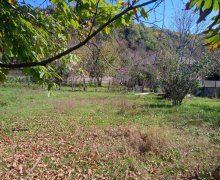 Satılır Torpaq Qəbələ ş.