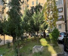 Kirayə (aylıq) Yeni Tikili Bibi Heybət qəs., Səbail r.