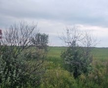 Продажа Участок Новханы, Абшерон р.