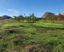 xacmazda torpaq alqi satqisi Xaçmaz ş.