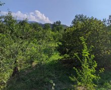 Satılır Torpaq Qəbələ ş.