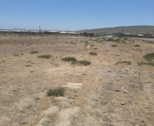 rayonlarda torpaq alqi satqisi Pereküşkül, Abşeron r.