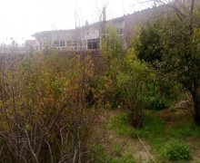 suraxanida heyet evleri/villa Bülbülə qəs., Suraxanı r.