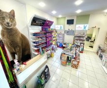 Kirayə (aylıq) Obyekt Elmlər akademiyası m., Yasamal r.