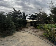 novxanida torpaq satilir Novxanı, Abşeron r.