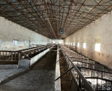 Satılır Obyekt Şirvan ş.