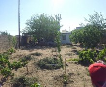 mastagada torpaq alqi satqisi Koroğlu m., Maştağa qəs., Sabunçu r.