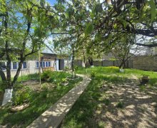 Kirayə (günlük) Həyət evi/villa Quba ş.