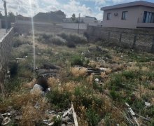 Satılır Torpaq Şüvəlan, Xəzər r.