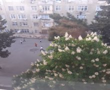 Kirayə (aylıq) Köhnə Tikili 4-cü mikrorayon, Nəsimi r.