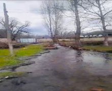 Satılır Torpaq Qəbələ ş.