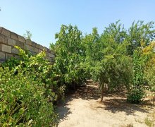 elanlari alqi satqisi elanlari Koroğlu m., Bilgəh qəs., Sabunçu r.