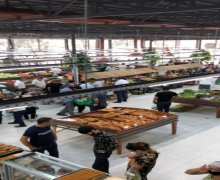 Kirayə (aylıq) Obyekt Bakıxanov qəs., Sabunçu r.