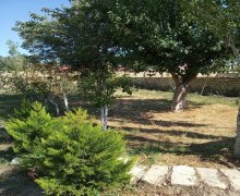 novxanida torpaq satilir Novxanı, Abşeron r.