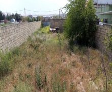 novxanida torpaq satilir Novxanı, Abşeron r.