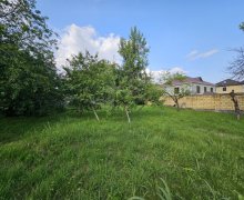 Satılır Torpaq Qəbələ ş.