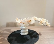 Kirayə (aylıq) Yeni Tikili Gənclik m., Nəsimi r.