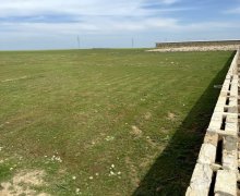 Satılır Torpaq Suraxanı qəs., Suraxanı r.