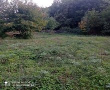 Satılır Torpaq Qəbələ ş.