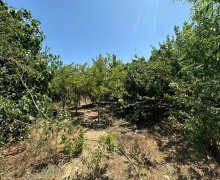 Satılır Torpaq Mərdəkan, Xəzər r.