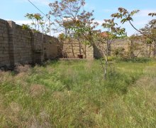 Satılır Torpaq Qaraçuxur qəs., Suraxanı r.