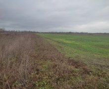 xacmazda torpaq alqi satqisi Xaçmaz ş.