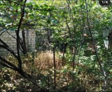 Satılır Həyət evi/villa Göyçay ş.