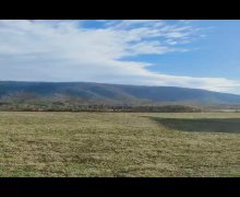 Satılır Torpaq Zaqatala ş.