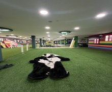 Kirayə (aylıq) Obyekt Qara Qarayev m., Nizami r.