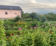 gunluk bag günlük evleri Qusar ş.