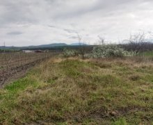 Satılır Torpaq Quba ş.