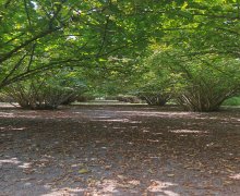 Satılır Torpaq Qəbələ ş.